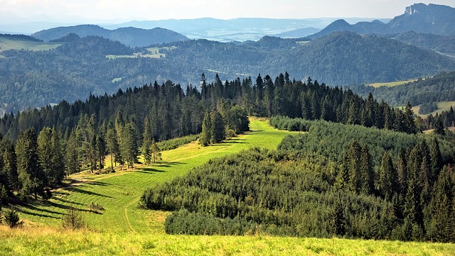slunné Beskydy.jpg