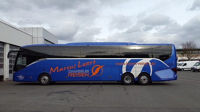 dálkový bus.jpg
