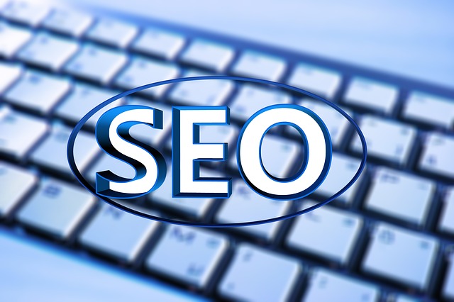pro seo