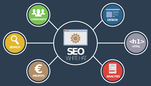 seo analýza, diagram